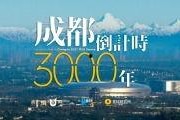 国产外围
